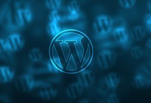 Le logo de WordPress, système de gestion de contenu web, sur fond bleu.